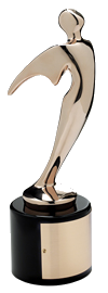 Bronze Telly Award